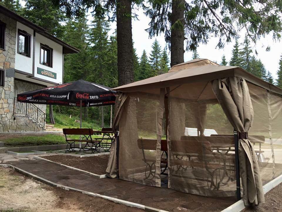 Family Hotel Ginger Pamporowo Zewnętrze zdjęcie